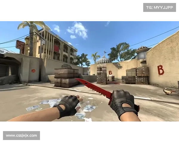 如何确保在CSGO皮肤交易中避免被骗并保障交易安全 如何确保在CSGO皮肤交易中避免被骗并保障交易安全