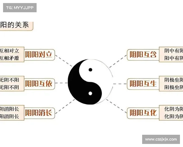 探秘阴阳符文背后的宇宙哲学与天地运行的深层关系解析 探秘阴阳符文背后的宇宙哲学与天地运行的深层关系解析